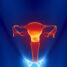 Symptome der einigen vaginalen Infektionen