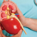 Akute Pyelonephritis beim Kind: Ursachen, Symptome und Behandlung der Krankheit